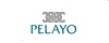 Seguro de oficina Pelayo