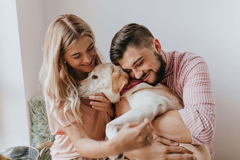 ¿El seguro de hogar cubre daños por mascotas?