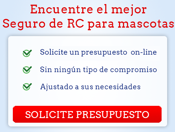 Comparador Seguros RC